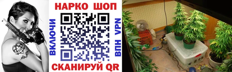 Где купить наркоту Теберда Альфа ПВП Мефедрон АМФ Конопля