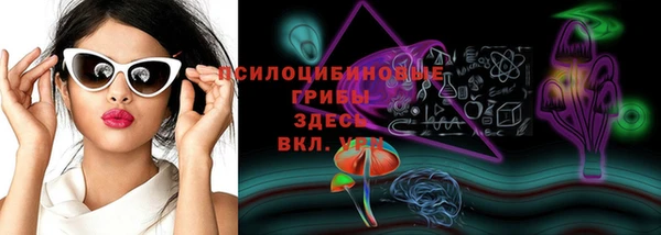 ГАЛЛЮЦИНОГЕННЫЕ ГРИБЫ Балахна