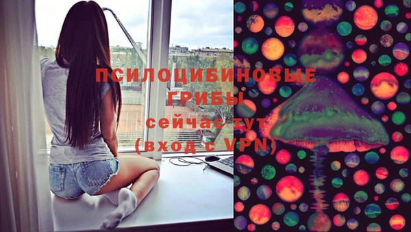 ГАЛЛЮЦИНОГЕННЫЕ ГРИБЫ Балахна