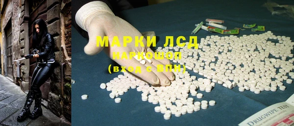 ГАЛЛЮЦИНОГЕННЫЕ ГРИБЫ Балахна