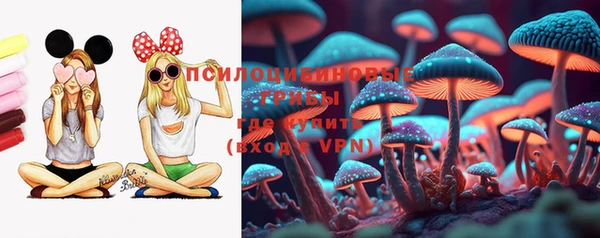 ГАЛЛЮЦИНОГЕННЫЕ ГРИБЫ Балахна